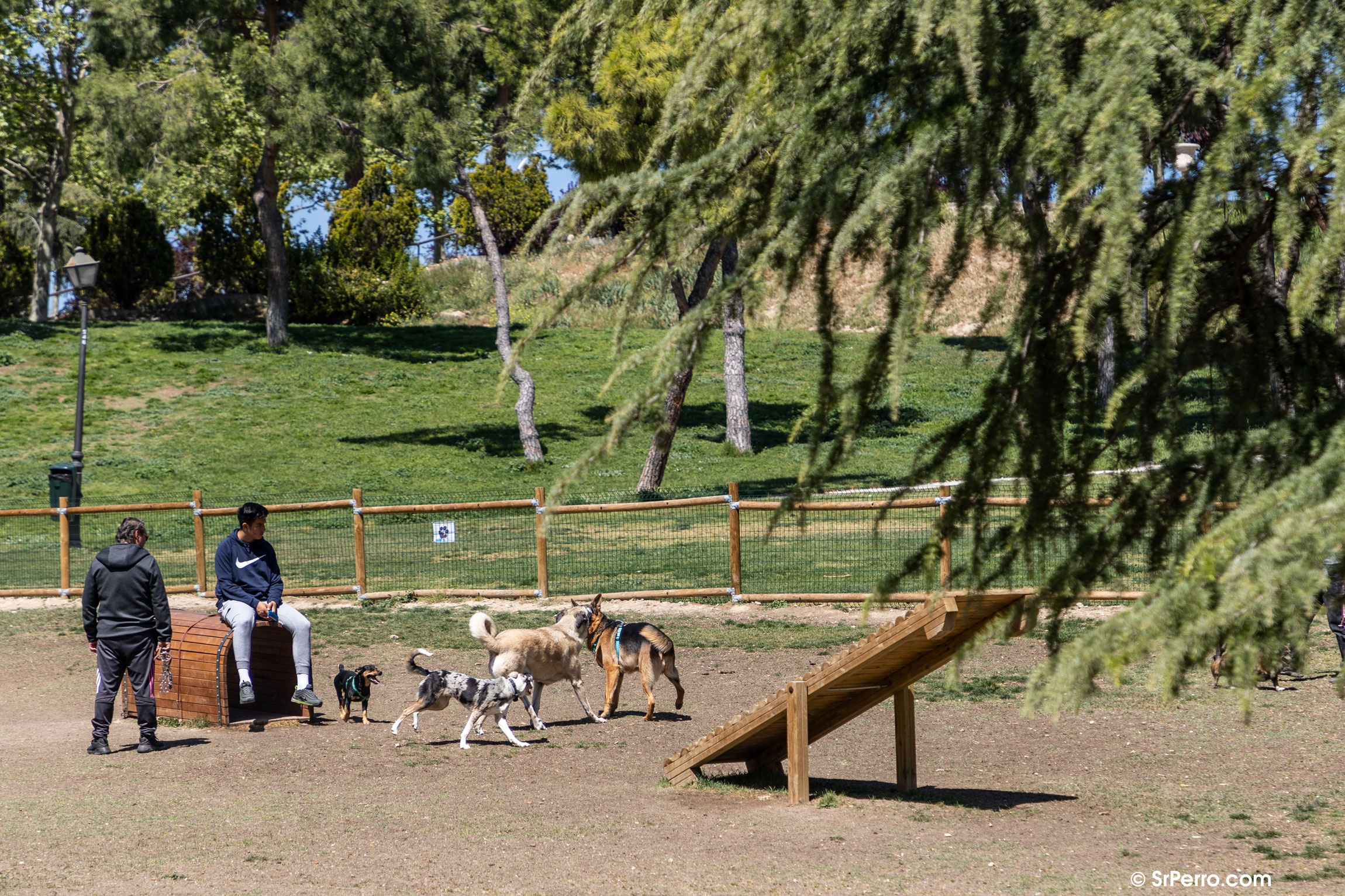 Parque Canino en la ciudad